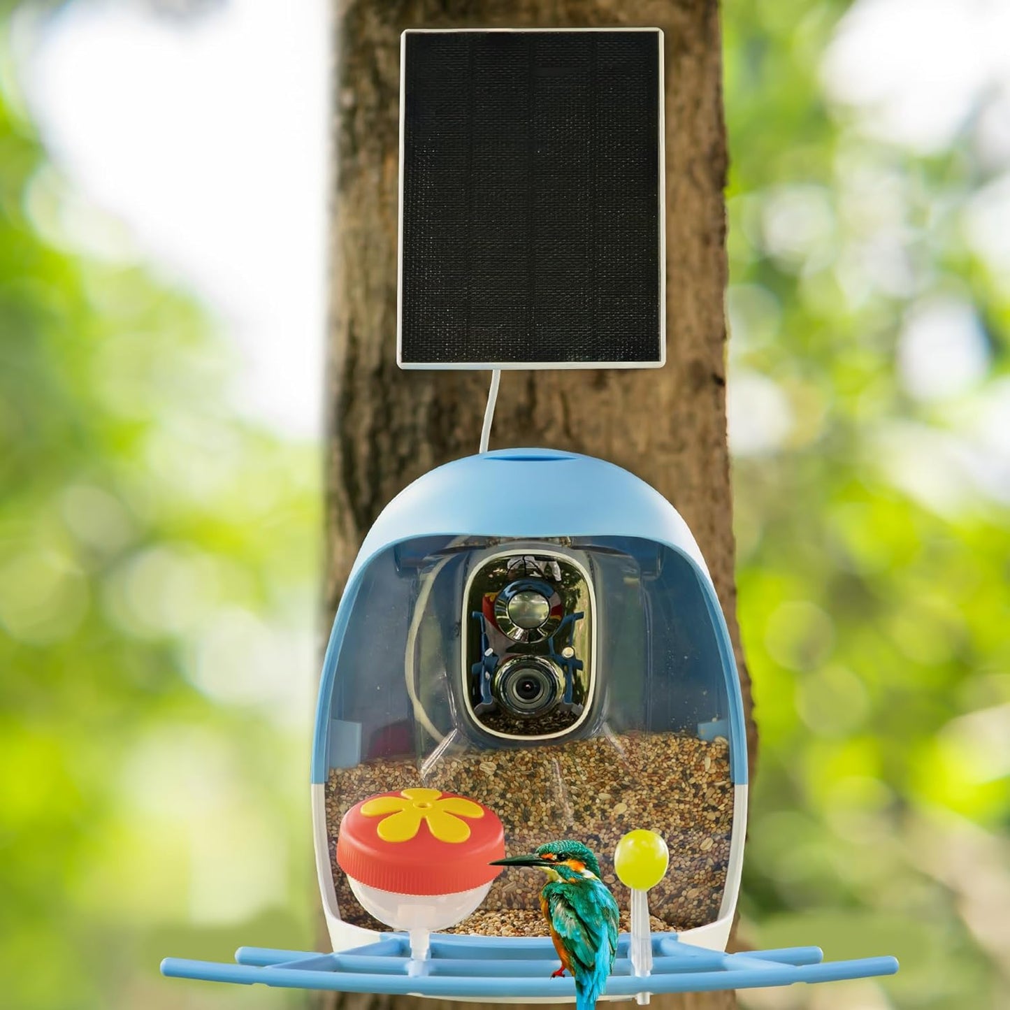 A6 AI Bird Feeder with 2K Solar Camera Squirrel Feeder Bird Identify Hummingbird attractant Motion Detection Two Way Audio SD Slot Gift for Bird Photography Bird Lover