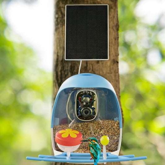 A6 AI Bird Feeder with 2K Solar Camera Squirrel Feeder Bird Identify Hummingbird attractant Motion Detection Two Way Audio SD Slot Gift for Bird Photography Bird Lover